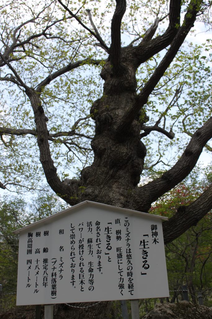 栃木県 那須 ２ 「ハーレーで行く 観光名所の歴史」